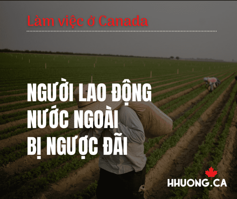 Người lao động nước ngoài bị ngược đãi được giải cứu từ nông trại ở đảo hoàng tử