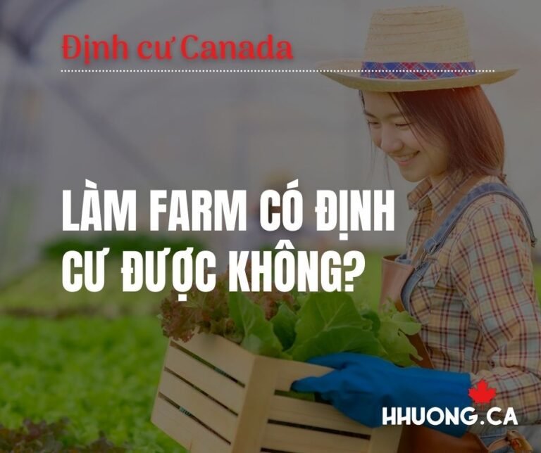 Làm farm có định cư được không?